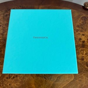 Authentic Tiffany & Co.paper gift box